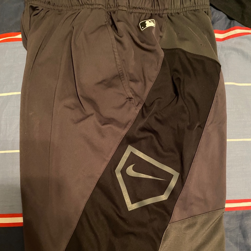 Men’a Nike Baseball Shorts